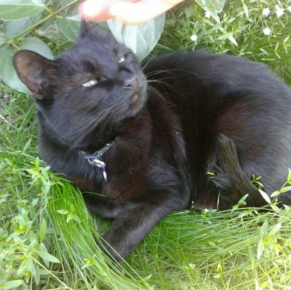 Beautiful soul items finding their way to You! - Picture 4 of 5